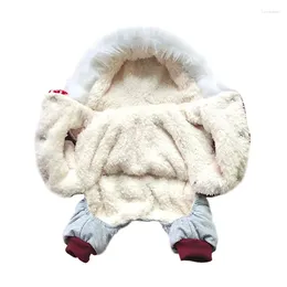 개 의류 겨울 애완 동물 의류 눈송이 코트 개 의상 재킷을위한 의상 Roupa Cachorro Chihuahua