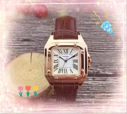 Famoso semplice Pointer 3 Pointer Lady Quartz Watchs Women Clock in pelle colorata Girl Super Brilly Watch Bracciale NOBLE ATTENZIONE ELEGANTE RELIJES DE LUJO