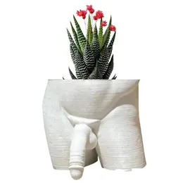 装飾的なオブジェクトの置物樹脂樹脂植物ポット装飾y男の裸のお尻の花の成長デスクトップ飾り