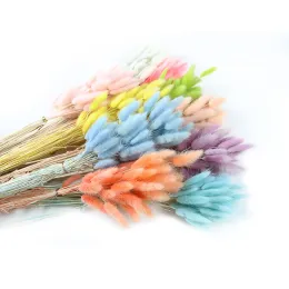 55-275pcs hochwertige natürliche getrocknete Hasenschwanzgrasgrasgras-Hunde Schwanzgras Flauschige Blumen Bouquet Home Innenhochzeitsfeier Dekor Dekor