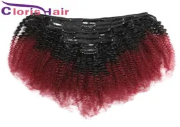 Burgundy Ombre Afro Kinky Curly Clip in Extensions Malaysian Human Hair Weave ملون 1B 99J رأس كامل 8pcs/مجموعة 120 جرام على المدى 8808876