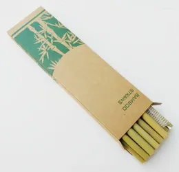 Drinking Straws 100Sets Bamboo Conjunta