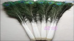 Whole 100pcslot 1044inch25110cm beautiful High quality natural peacock feathers eyes for DIY clothes decoration Wedding8800364