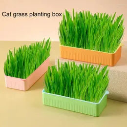 Plantador de grama de transportadoras de gatos com fundo de dupla camada destacável Base não deslizante Fácil de limpar Plástico Pet Sprout Plato