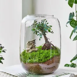 Vasen 1PC Große Bauchglasflasche für Heimbürofenster Display Desktop Dekoration Mikrogarten handgefertigte DIY -Szenen