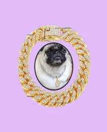 Собаки -ошейники Xury Дизайнерский ошейник Bracelet Bling Diamond Collece Cuban Gold Chain для Pitbull Big Dogs Jewelry Metal