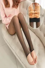 Leggings Frauen dicke Legins durch das Fleisch warme Hosen Frauen039s Leggings warme Mesh Leggins für Frauen Winterkleidung 2109019538343