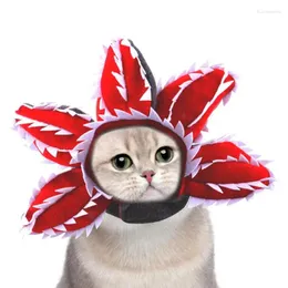 개 의류 고양이 파티 모자 애완 동물 코스프레 의상 의상 헤드웨어 후드 액세서리 재미있는 옷을위한 귀여운 옷