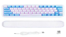Ezsozo Keyboard 60 Bedrade Gaming Toetsenbord RGBバックライトUltracompact Mini Toetsenbord283R3519766