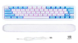 EZSOZO -Tastatur 60 Bettel Gaming Toetsenbord RGB Backlit Ultracompact Mini Toetsenbord283R3519766