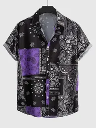 Men Paisley Print Print Рубашка с коротким рукавом ретро Этнический график Мужские Мужские Мужские Украины 4WAY ETECK FAMAN 240412