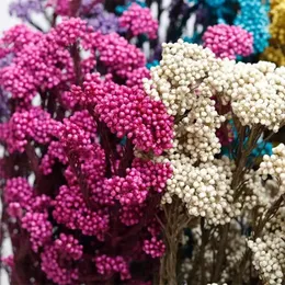 Decorative Flowers 50g Natural Millet Fruit Dried Flower Home Decor Items With Modern Decoration Wedding Accessories Pampas Gras