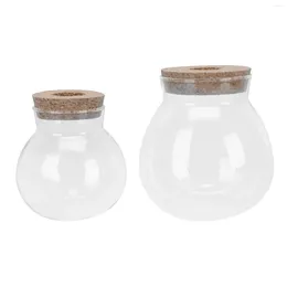 Vases 2 Pcs Glass Vase Creative Flower Bottle Adornment Decor Practical Cork Arrangement Rustic