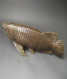 Collection Lifelike Chinese old bronze arowana statue 28x8 CM6957438