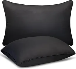 SydCommerce Sleep Pillow Tamanho padrão de 2 peças, travesseiro lateral de travesseiro de alta qualidade e travesseiro de substituição de travesseiro de estômago