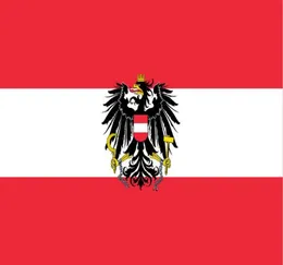 Flaga Austrii stanu Austria 3 stóp x 5 stóp poliestru Latającego 150 90 cm Flaga niestandardowa Outdoor5522906