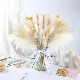 Dekorativa blommor 70st Pampas Grass Natural Dried Flower Bouquet Droogbloemen Wedding Decoration Secas Decorativas Dekoration