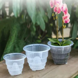 10 12 15cm蘭の透明な植木鉢プラスチックスロットスロット通気性蘭のポット植木鉢プランター通気性蘭のポット手作り252t
