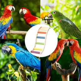 Haustierpapageien Klettern Brücke Barch Holzspielzeug zum Klettern von Vogelübungen Spielzeugspiel Leiter Kletterleiter Barschspielzeug für Conures