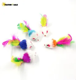 NEW Colorful Feather Grit Small Mouse Cat Toys For Cat Feather Funny Playing Pet dog Cat Small Animals feather Kitten4192691