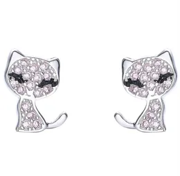 Cat Shape Shining Stud arring 925 Sterling Silver CZ Diamond Women Wedding Jewelry Ackons with Box Summer Gift33431245761