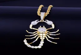Scorpion Animal Scorpion Hip Hop Ciondolo con collana in oro giallo 18K cubic zircone men039s collana gioiello per regalo4321293