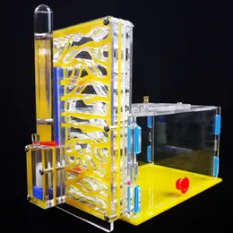 Гнездо насекомого муравья с 1 водонапорной башней 1 Внешняя чаша для водной миски муравьев муравьев дом DIY зона кормления гнездятся муравьиная вилла мания дома