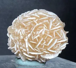 120G Desert Natural Desert Rose Selenite Guarigione di Crystal Crystal Crystal Mineral Mineral campione Rugh Cluster Fengshui Decor Reki2307910