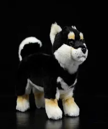 28 cm Shiba inu vida real luxuosa em pé japonês Doque preto Pet Doll