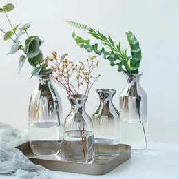 Vazolar İskandinav yaratıcı dekoratif vazo cam dekorasyonu ev hidroponik kurutulmuş çiçekler teraryum modern oturma odası evi