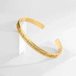Bangle Rakol Light Luxury Segment Microinset Циркон для женщин золотой цвет высококачественные манжеты из Браслетов Ювелирные изделия