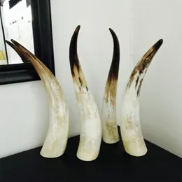 11 Natural Genuine horn ornaments single yellow single horn horn of Africa more than 40cm60cm1720530