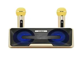 Microfono altoparlante Bluetooth wireless SD301 Famiglia KTV per cellulare KTV Microfono Karaoke Dual Microfono TF Supporto USB7996201