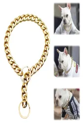 Hundhalsar metall stor guldfärgkedja sommar husdjur mode tillbehör bulldogg krage små hundar husdjur halsband zc4953080904