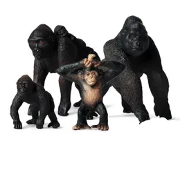 Simulering Little Gorilla Action Figure Livselike Education Kids Wild Animal Model Toy Gift Söta Toys6747167