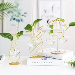 Vasen kreative hydroponische Pflanzenglas transparent Vase Home Blumentopf Iron Desktop Wohnzimmer Dekoration Büro