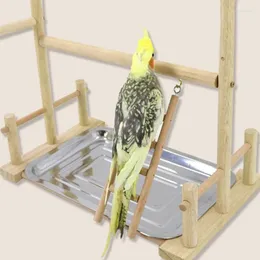 Diğer Kuş Malzemeleri D0ad Köprüsü Büyük Eğitim Papağanları Ayakta Oyuncak