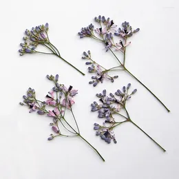 Dekoratif çiçekler 10-16cm/12pcs gerçek preslenmiş melia azedarach çiçek dalları damla tutkal dekorasyonları diy yer imleri po kare yaprak resimleri