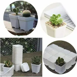 通販 送料無料  DHgate.com:Colorful Drained 4 - Tray with Pots Flower Square 果物