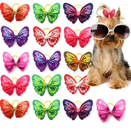 ملابس الكلاب 30/50 PC PUPPY Cat Hair Grooming Accessories Cute Butterfly Style Rubber Bands for Doggy Teddy Malta Bows Supplies Supplies