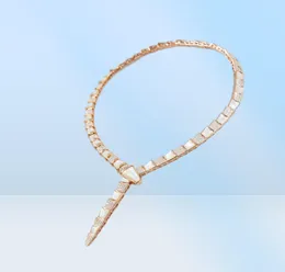 Europe America Designer Jewelry Sets Fashion Lady Women Brass 18K Gold Ambiente Diamond Madre di Pearl Orecchini da cagna per cena larga catena1386236