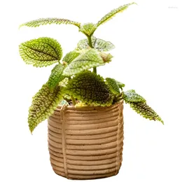 Vaser rotting-liknande cement mini blomkruka saftig kreativ jord balkong trädgård dekoration