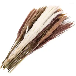 Fiori decorativi Pampas Reed Erba Decorazione Disposizione bouquet secco VASO FLOORE ARCO naturale Decorazione della damigella d'onore Filler Tall Pomposo