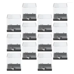 Casci di gioielli Display Box Mini Boxes Clear Mineral Storage Coin Cube Acrilic Plastic Plashone