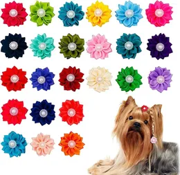 Abbigliamento per cani 50/100 pezzi carino e bellissimo pet cucciolo di capelli per cuccioli fiore con perle di toelettatura dell'accessorio