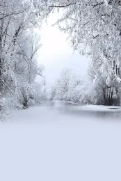 Snow Covered Trees Frozen River Pography Backdrop Vinyl Winter Scenic Wallpaper Children Kids Holiday Po Shoot Background fo9619281