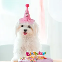 Dog Apparel Pull Stop Collar Leather Wide Nylon Pet Birthday Hat With Digital Collars Luminous