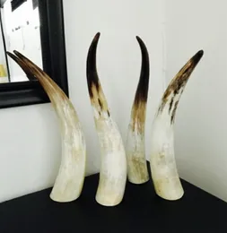 11 Natural Genuine horn ornaments single yellow single horn horn of Africa more than 40cm60cm8488986