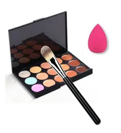 Ganzes Make -up -Set 15 Farbe Concealer Palette Make -up Pinsel Netter rosa Schwamm Puff -Make -up -Kontur Palette C151914444412