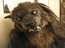 성인 할로윈 파티 프로세스 커버 x08035148009를위한 늑대 인간 코스프레 헤드웨어 의상 마스크 마스크 시뮬레이션 늑대 마스크 시뮬레이션 시뮬레이션 늑대 마스크